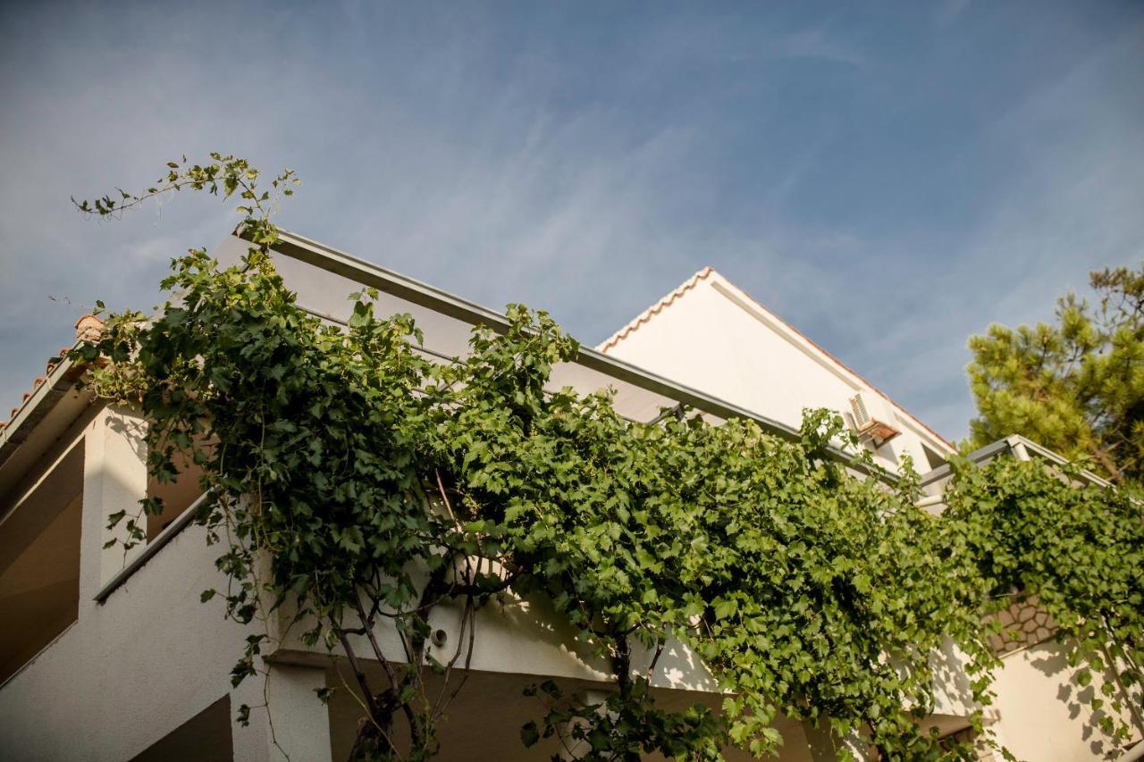 Guesthouse Sime Kolan Kültér fotó